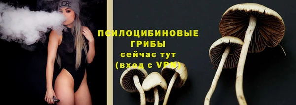 бошки Заволжье