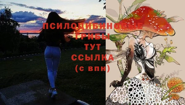 бошки Заволжье