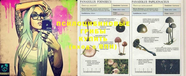 бошки Заволжье
