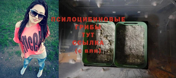 apvp Заводоуковск